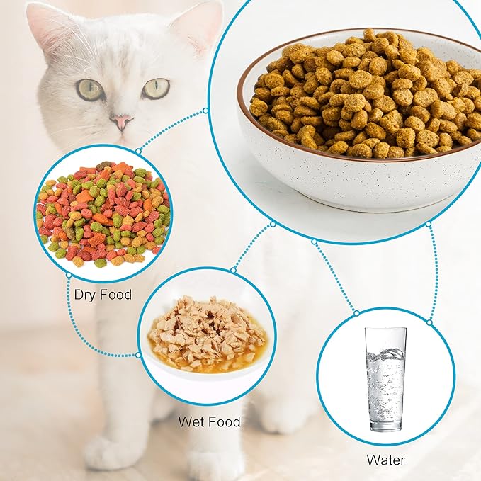 Ceramic Cat Bowls, Howise Pet Bowl Cat Dishes for Food and Water, 5.3 In Cat Food Dish 3 Pack Cat Food Bowls Set Small Dog Dish, Matte White Finish - PAWPICO