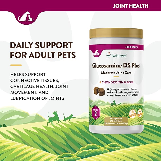 NaturVet – Glucosamine DS Plus - Level 2 Moderate Care – Supports Healthy Hip & Joint Function – Enhanced with Glucosamine, MSM & Chondroitin – for Dogs & Cats – 240 Soft Chews NaturVet