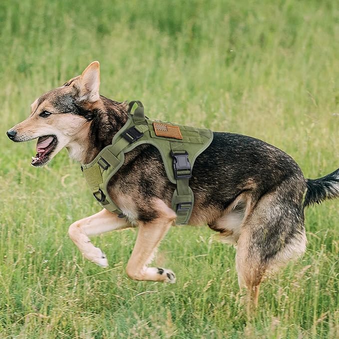 rabbitgoo Tactical Dog Harness for Small, Heavy Duty Pet Harness with Handle, No-Pull Service Vest Small Breed, Adjustable Military Dog Vest for Training Hunting Walking, Green, S rabbitgoo