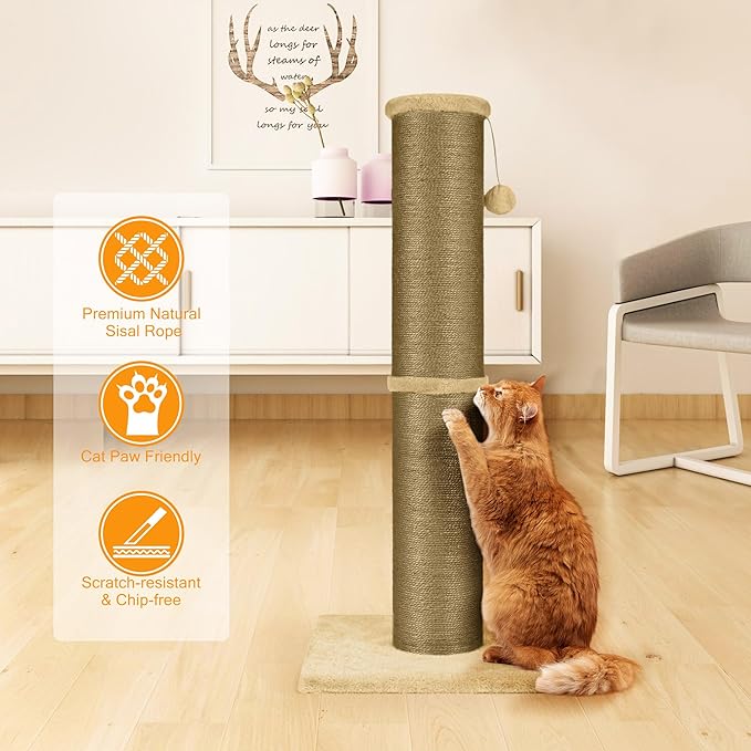 PAWSCRAT Cat Scratching Post 32 Inch High, 5.5 Inch Large Diameter Natural Sisal Cat Scratch Post, Scratch-Resistant and Durable Tall Cat Scratcher for Indoor Cats, Protect Your Furniture, Yellow - PAWPICO
