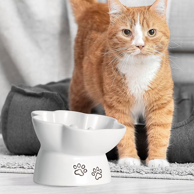 Kaiikai’s Slow Feeder Dog Bowls and Cat Food Bowl 15 oz Ceramic Dog Water Bowl Elevated Slow Feeder Dog Food Bowls Slow Feeder Cat Bowl Small Dog Slow Feeder Bowl for Dry and Wet Food Puppy Supplies - PAWPICO