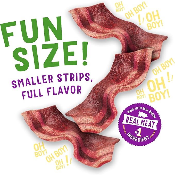 Purina Beggin' With Real Meat Dog Treats, Fun Size Original With Bacon Flavor - 25 oz. Pouch - PAWPICO