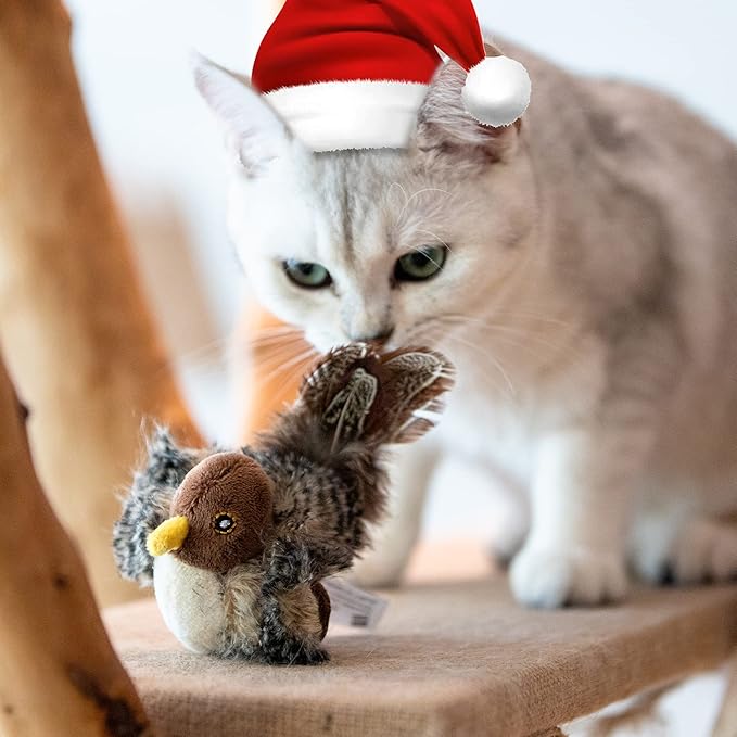Gigwi Chirping Bird Cat Toys for Indoor Cats, Interactive Cat Toy with Real Electronic Squeaky Sound and Feather, Kitten Toys Automatic Cat Toy for Cat Exercise & Kicker to Self Play, Relieve Boredom - PAWPICO