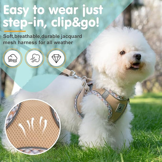 Dog Harness and Leash Set, No Pull Pet Harness for Small Dogs Easy Walking,Soft Breathable Small Dog Harness,Adjustable Reflective Step in Vest Harness for Puppy,Kitten, Cats TomteNisse