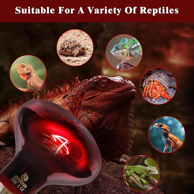 Reptile Heat Lamp,100W Red Basking Spot Lamp Bulb for Chickens Amphibians, Infrared Heat Emitter Light for Coop REPTIHOME