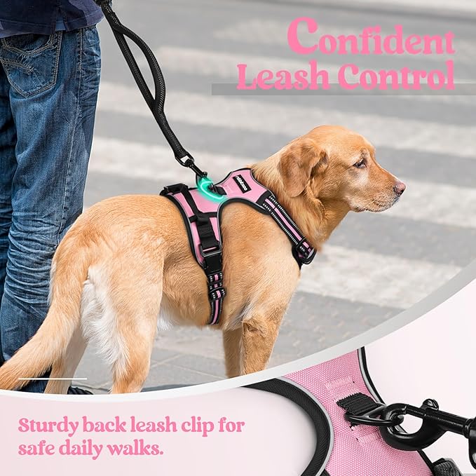 rabbitgoo Dog Harness No Pull with 2 Leash Clips, Adjustable Soft Padded, Reflective Oxford No Choke Pet Vest with Easy Control Handle for Large Dogs, Pink, L rabbitgoo