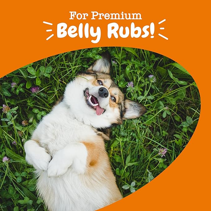Zesty Paws Probiotics for Dogs - Digestive Enzymes for Gut Flora, Digestive Health, Diarrhea & Bowel Support - Clinically Studied DE111 - Dog Supplement Soft Chew for Pet Immune System - 250 Count ZestyPaws