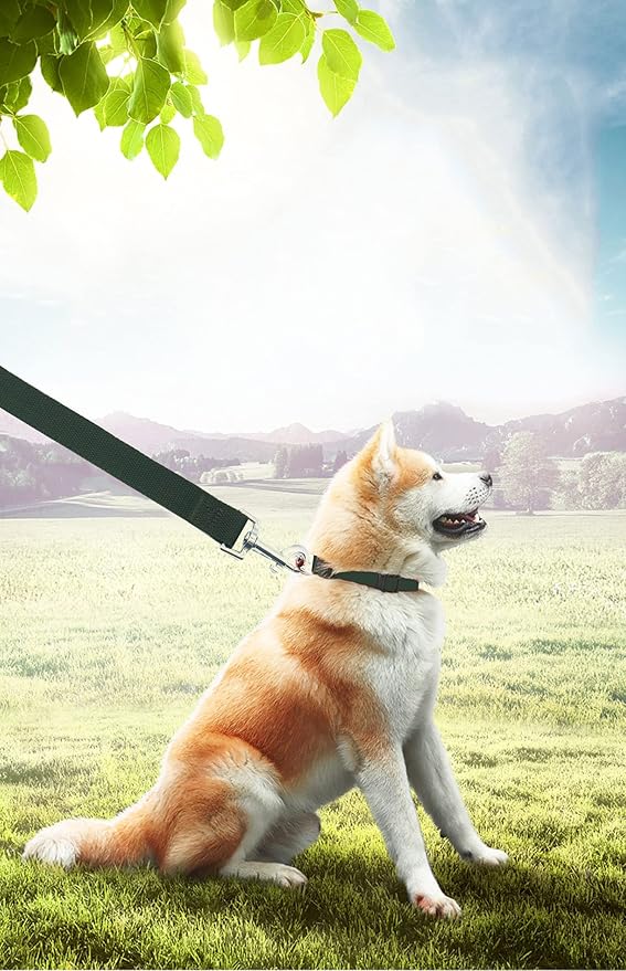 15ft 20ft 30ft 40ft 50ft Long Dog/Puppy Lead Obedience Recall Training Dog Leashes for Small Medium Dogs Camping, Training, Play, or Backyard (15 FT, Green) PETGOGO