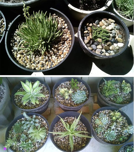 Voulosimi 40 LBS River Rock Stones, Natural Decorative Polished Mixed Pebbles Gravel,Outdoor Decorative Stones for Plant Aquariums, Landscaping, Vase Fillers Voulosimi