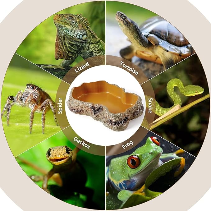 Reptile Food Water Rock Bowls - Lizard Resin Rock Worm Feeding Dish, Amphibian Feeder Bowl Terrarium Decor for Bearded Dragons, Chameleon, Leopard Gecko, Frog, Snake, Hermit Crabs, Turtle Spider Pet HELIME
