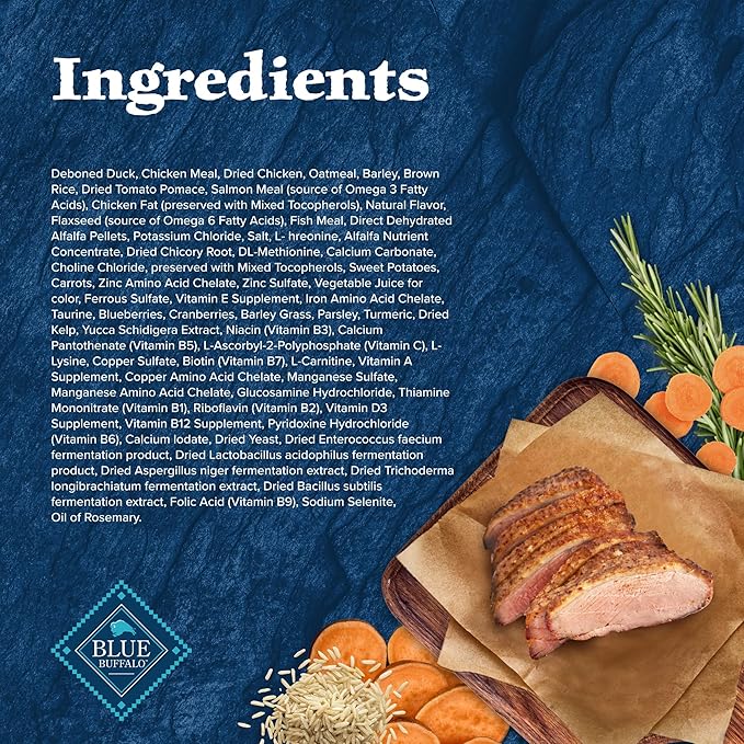 Blue Buffalo Wilderness Natural High-Protein Dry Food for Adult Dogs, with Wholesome Grains, Duck, 13-lb bag. - PAWPICO