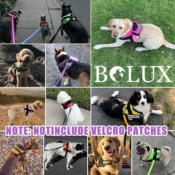 Bolux Dog Harness, No-Pull Reflective Dog Vest, Breathable Adjustable Pet Harness with Handle for Outdoor Walking - No More Pulling, Tugging or Choking (Lavender, XX-Large (Pack of 1)) Bolux