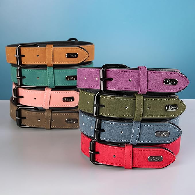 Didog Soft Padded Leather Dog Collar, Breathable Heavy Duty Dog Collar Leather with Adjustable Rust-Proof Metal Buckle for Small Medium Large Dogs, Purple, S Didog