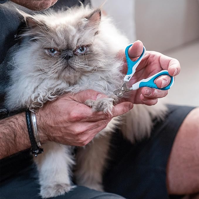 Mr. Pen- Cat Nail Clipper, Kitten Nail Trimmers, Pet Nail Cutter - PAWPICO