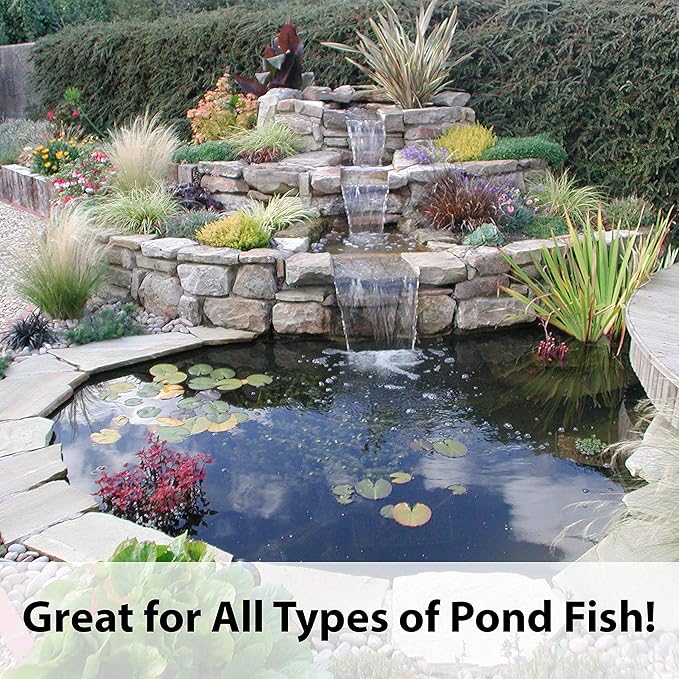 Kaytee Koi's Choice Koi Floating Fish Food, 10 Pound (Pack of 2) Kaytee