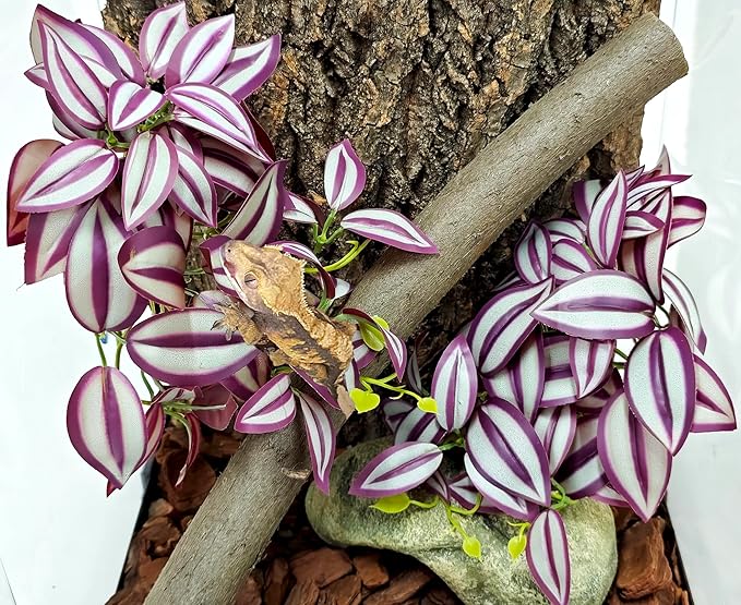 Woyrise 2 Pack Reptile Plants, Terrarium Hanging Plant Vines, Artificial Leaves with Suction Cup, Bearded Dragon Tank Accessories for Gecko Lizard Snake Frog Tortoise Decorations - Zebrina Purple Woyrise