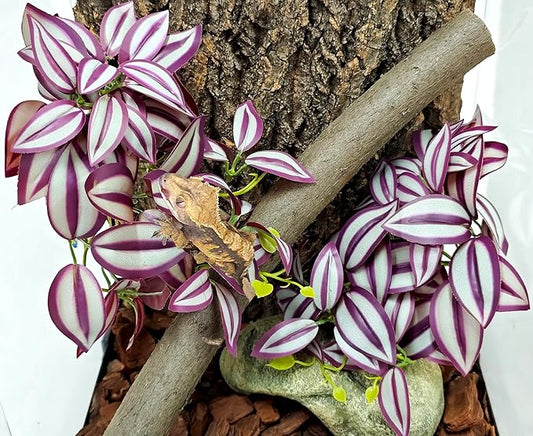 Woyrise 2 Pack Reptile Plants, Terrarium Hanging Plant Vines, Artificial Leaves with Suction Cup, Bearded Dragon Tank Accessories for Gecko Lizard Snake Frog Tortoise Decorations - Zebrina Purple Woyrise