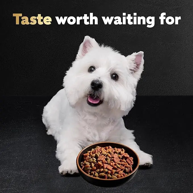CESAR Adult Small Breed Dry Dog Food, Filet Mignon Flavor with Spring Vegetables Garnish, 5 lb. Bag - PAWPICO
