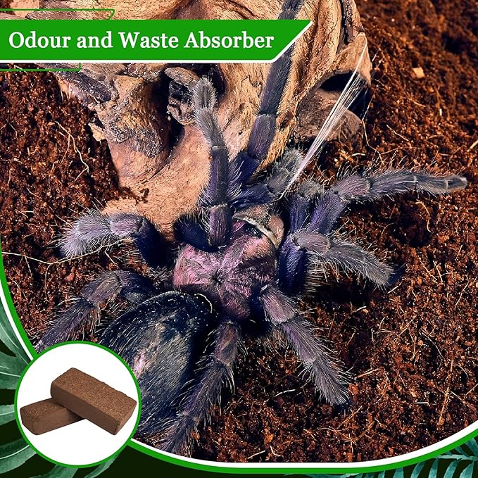 Riare 6 Pack Natural Coconut Fiber Substrate for Reptile- Premium Compressed Coconut Husk Terrarium Bedding for Reptile, Tortoise, Frogs, Snakes Hermit Crabs, Burrowing Animals Riare