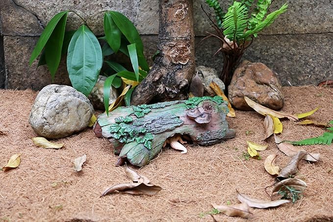Reptile Bark Bends Terrarium Decor – Hideout Caves for Amphibians. Ideal for Lizards, Snakes, Geckos, Frogs, Spiders, Scorpions... PAWPICO