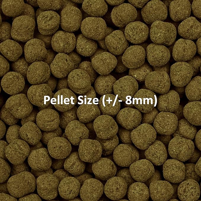 Ocean Nutrition Formula Two Pellets - Fish Food for Herbivorous & Omnivorous Marine Tropical Fish, High Protein(40%) - 1.1 lbs (500 g) XL Pellets OceanNutrition