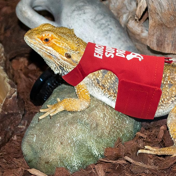 Bearded Dragon Harness and Leash Set - Escape Proof Adjustable Lizard Reptiles Harness with 5 ft Short Leash for Walking Outdoor tukoaw