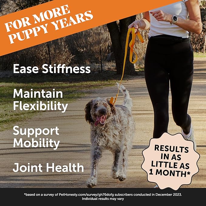 Pet Honesty Hip & Joint Health - Dog Joint Supplement Support for Dogs with Glucosamine Chondroitin, MSM, Turmeric - Glucosamine for Dogs Soft Chews - Advanced Pet Joint Support and Mobility - 180 ct PetHonesty