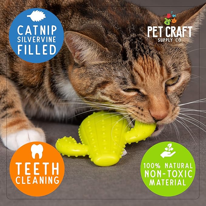 Pet Craft Supply Cactus Interactive Cat Toy Chew Toy Teeth Cleaning Bite Resistant 100% Natural Rubber with Bonus Catnip and Silvervine Bags for Kittens and Adult Cat - PAWPICO
