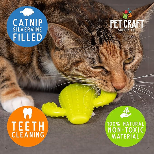 Pet Craft Supply Cactus Interactive Cat Toy Chew Toy Teeth Cleaning Bite Resistant 100% Natural Rubber with Bonus Catnip and Silvervine Bags for Kittens and Adult Cat - PAWPICO