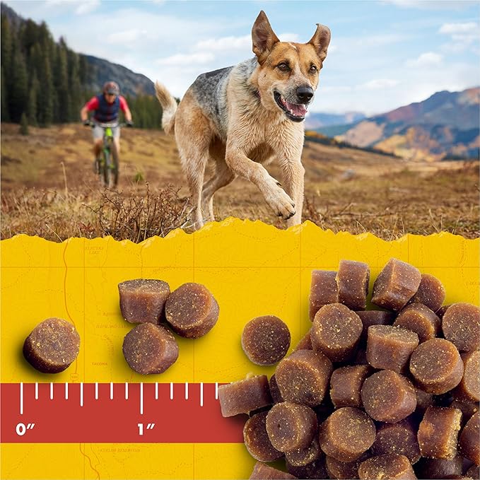 Zuke’s Mini Naturals Dog Training Treats for Dogs of All Sizes, Pet Treats made with Real Beef, 16 oz. Resealable Pouch - 16 oz. Bag - PAWPICO