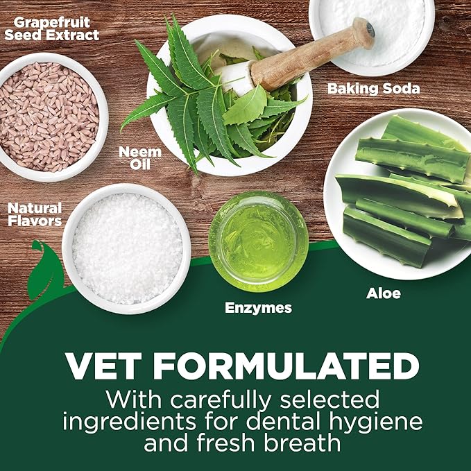Vet's Best Dog Toothbrush & Enzymatic Toothpaste Kit - Teeth Cleaning - Made with Natural Ingredients - Reduces Plaque, Whitens Teeth, Freshens Breath - Bonus Care Guide & Finger Brush Included VetsBest
