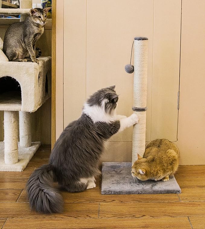 32 Inches Tall Cat Scratching Post, Cat Scratch Post Tree Kitten Scratcher with Sisal Rope, Scratching Post for Indoor Cats with Hanging Ball - PAWPICO