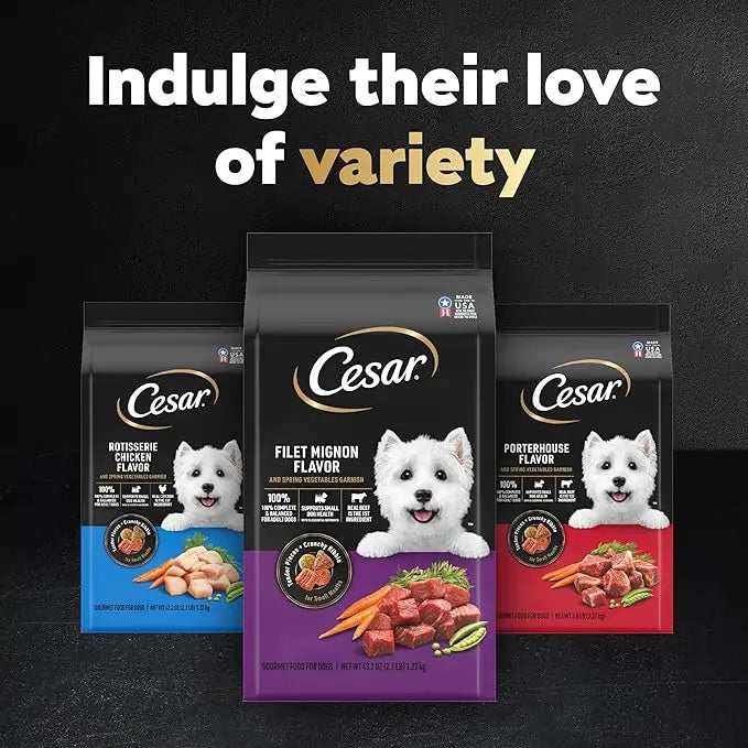 CESAR Small Breed Dry Dog Food Rotisserie Chicken Flavor and Spring Vegetables Garnish, 2.7 lb. Bag - PAWPICO