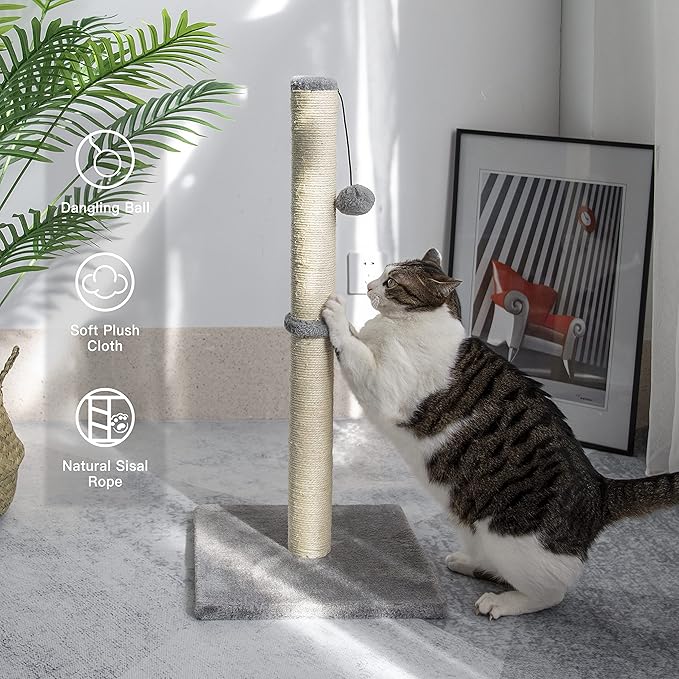29 Inches Cat Scratching Post, Cat Scratch Post Kitten Scratcher with Sisal Rope, Scratching Post for Indoor Cats with Hanging Ball - PAWPICO