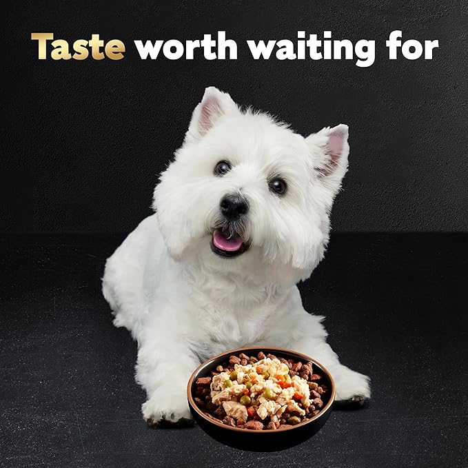 CESAR SIMPLY CRAFTED Adult Wet Dog Food Meal Topper, Chicken, Duck, Purple Potatoes, Pumpkin, Green Beans & Brown Rice, 1.3oz., Pack of 10 - PAWPICO