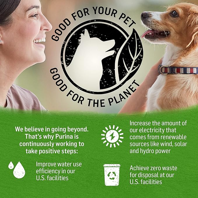 Purina Beyond Grain Free, Natural Pate Wet Dog Food, Grain Free Chicken, Lamb & Spinach Recipe - (12) 13 oz. Cans - PAWPICO