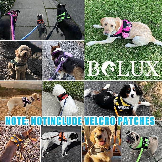 Bolux Dog Harness, No-Pull Reflective Dog Vest, Breathable Adjustable Pet Harness with Handle for Outdoor Walking - No More Pulling, Tugging or Choking (OceanicBlue, Large (Pack of 1)) Bolux