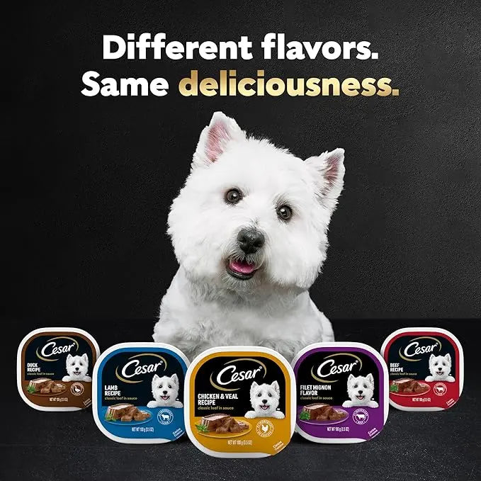 CESAR Adult Wet Dog Food Classic Loaf in Sauce Beef Recipe, Filet Mignon, Grilled Chicken and Porterhouse Steak Variety Pack, 3.5 oz. Easy Peel Trays (Pack of 24) - PAWPICO