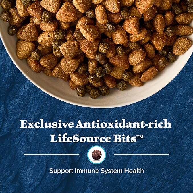 Blue Buffalo Wilderness Adult High-Protein Dry Dog Food Natural Salmon WITH WHOLESOME GRAINS - PAWPICO