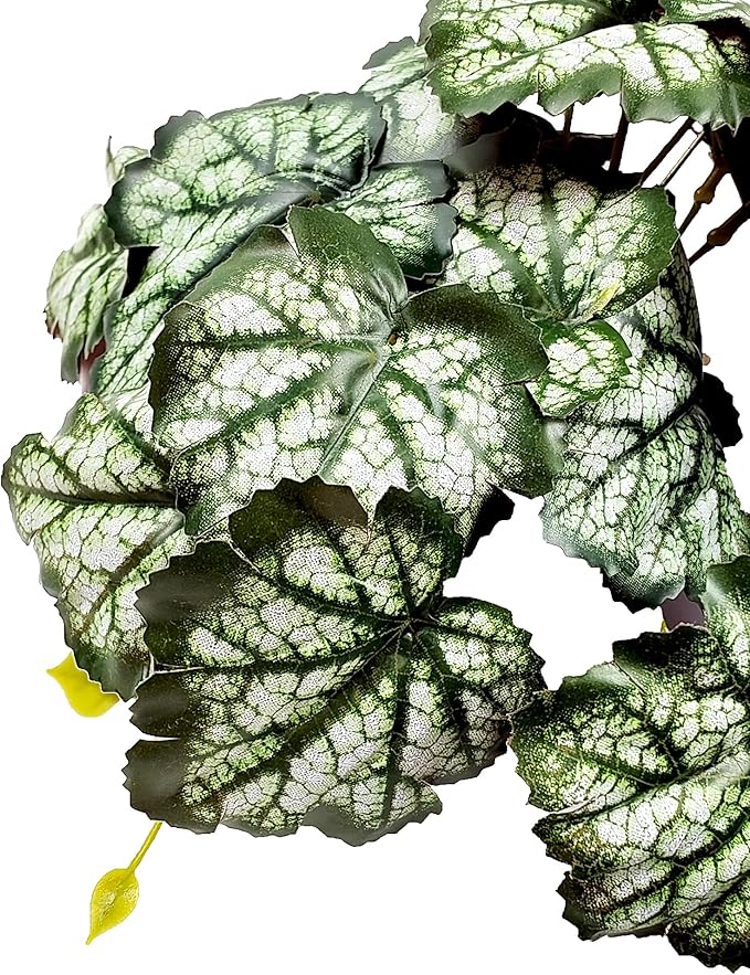 Woyrise Reptile Plants, Terrarium Hanging Plants Vines for Reptile Tank, Amphibian Habitat Leaves Decor with Suction Cups for Bearded Dragon Lizard Snake Gecko Frog Hermit Crab - 2Pack Green Heuchera Woyrise