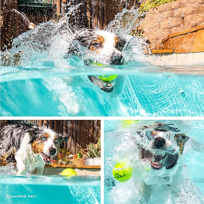 Hyper Pet Tennis Balls for Dogs (Pet Safe Dog Ball Dog Tennis Balls for Exercise & Training) Dog Ball Interactive Dog Toys work with Hyper Pet K9 Kannon K2 Dog Ball Launcher - 4 Pack 2.5" Green - PAWPICO