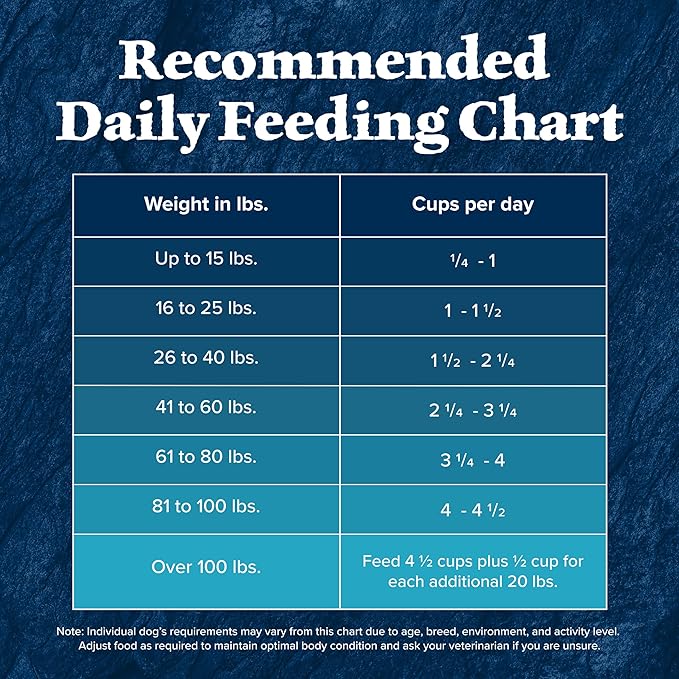 Blue Buffalo Wilderness Natural High-Protein Dry Food for Adult Dogs, with Wholesome Grains, Duck, 13-lb bag. - PAWPICO