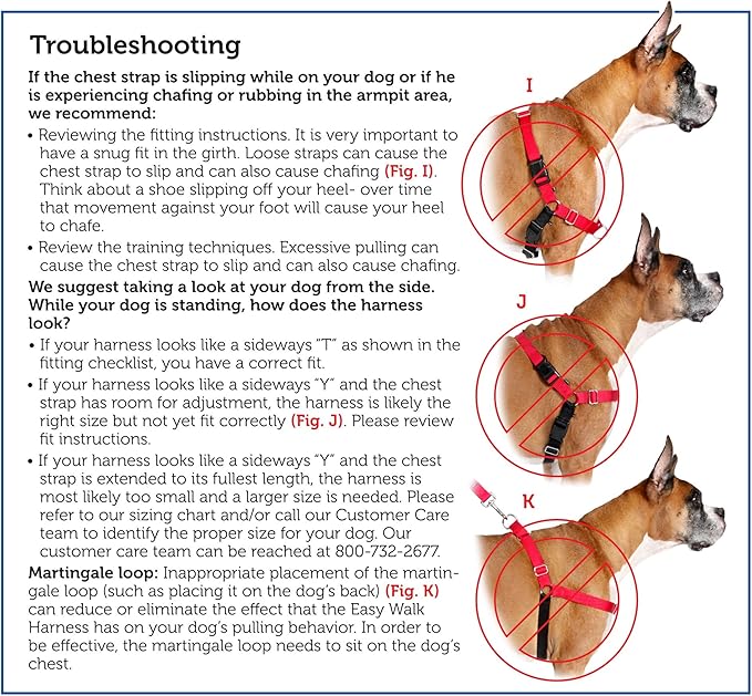 PetSafe Easy Walk No-Pull Dog Harness - The Ultimate Harness to Help Stop Pulling - Take Control & Teach Better Leash Manners - Helps Prevent Pets Pulling on Walks, Large, Deep Purple/Black PetSafe