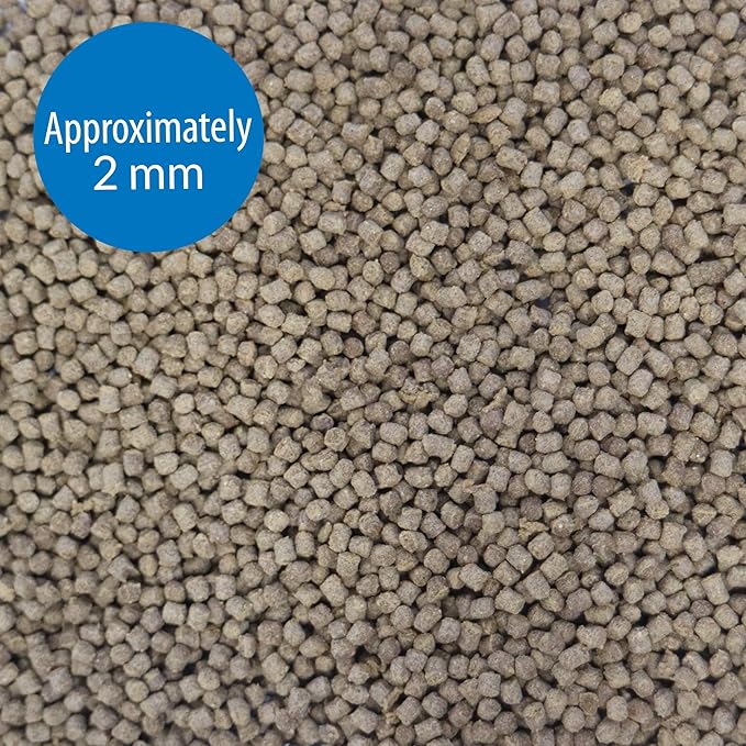API GOLDFISH PELLETS Fish Food 4-Ounce Container, Medium, Model:833B API