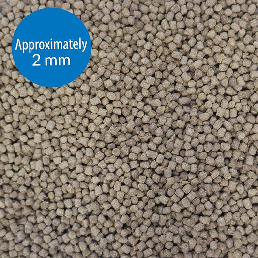 API TROPICAL PELLETS Sinking Pellets Fish Food 1.6-Ounce Container API