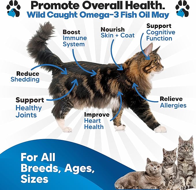 Omega 3 Fish Oil for Cats - Better Than Salmon Oil for Cats - Kitten + Cat Vitamins and Supplements - Cat Health Supplies - Cat Dandruff Treatment - Liquid Fish Oil for Pets - Cat Shedding Products planopaws