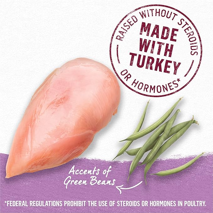 Beyond Purina Grain Free Gravy Wet Dog Food, Grain Free Turkey & Green Bean Recipe in Gravy - (12) 12.5 oz. Cans (Pack of 2) - PAWPICO