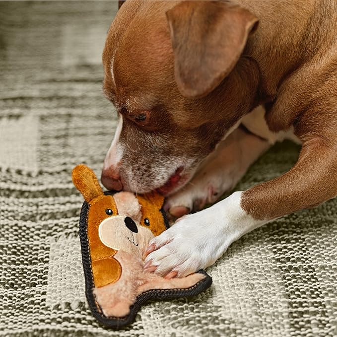 Outward Hound Durablez Tough Plush Squeaky Dog Toy, Puppy, Brown, XS - PAWPICO