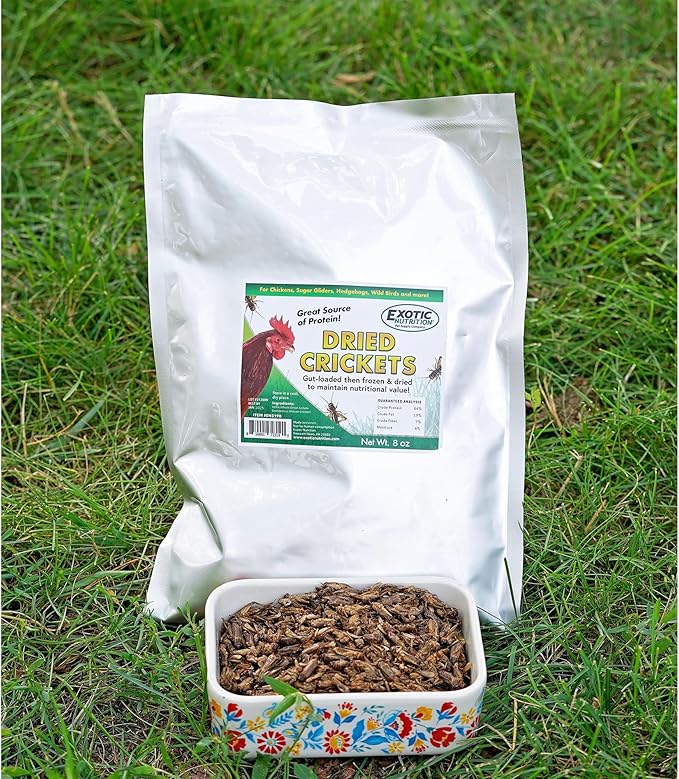 1.5 Pound Dried Crickets - High Protein Insect Treat - Chickens, Wild Birds, Hedgehogs, Bluebirds, Reptiles, Sugar Gliders, Opossums, Skunks, Lizards, Bearded Dragons, Fish, Turtles 8 oz. (3 Pack) ExoticNutrition