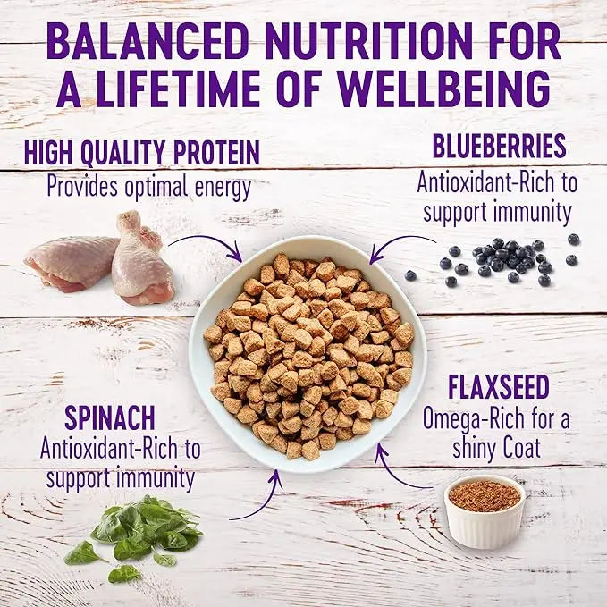 Wellness Complete Health Chicken & Oatmeal Natural Dry Dog Food, 30-Pound Bag (Packaging may vary) - PAWPICO